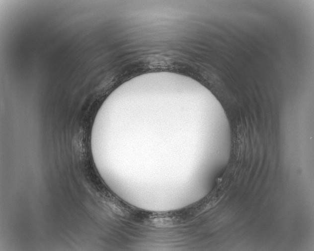 X0000059810228200511181549