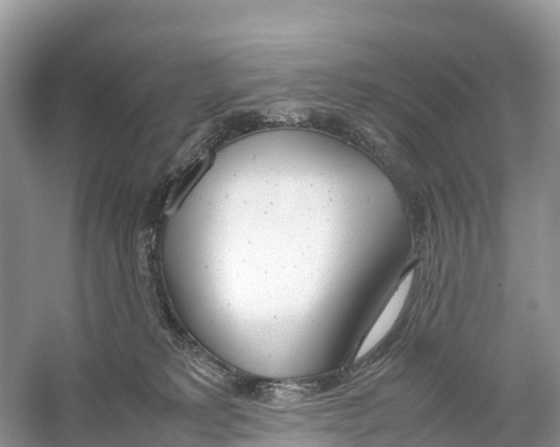 X0000059810229200511181549