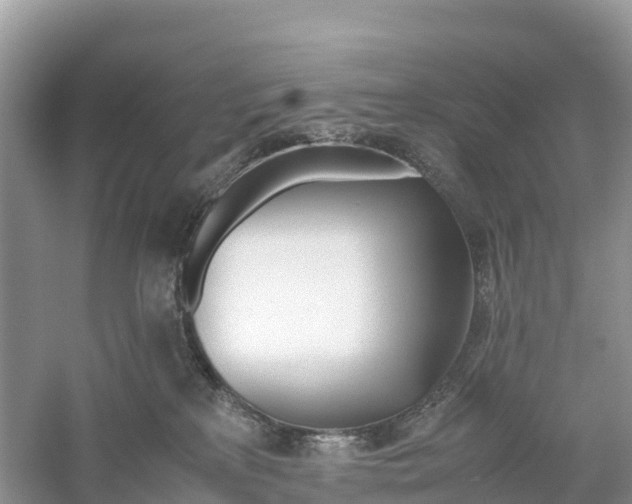 X0000059810233200511181549