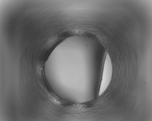 X0000059810235200511181549