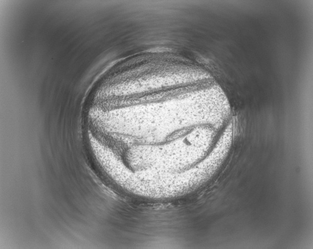 X0000059810243200511181548