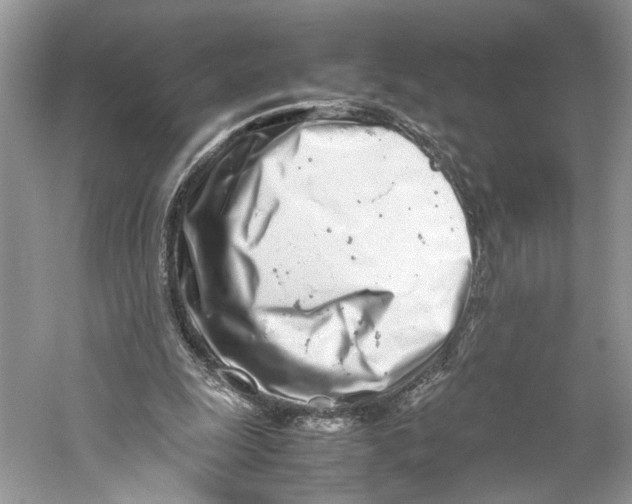 X0000059810247200511181548