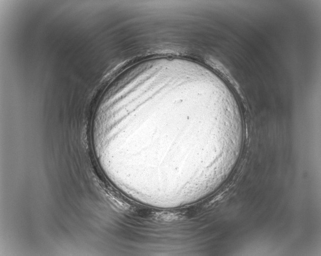 X0000059810249200511181548