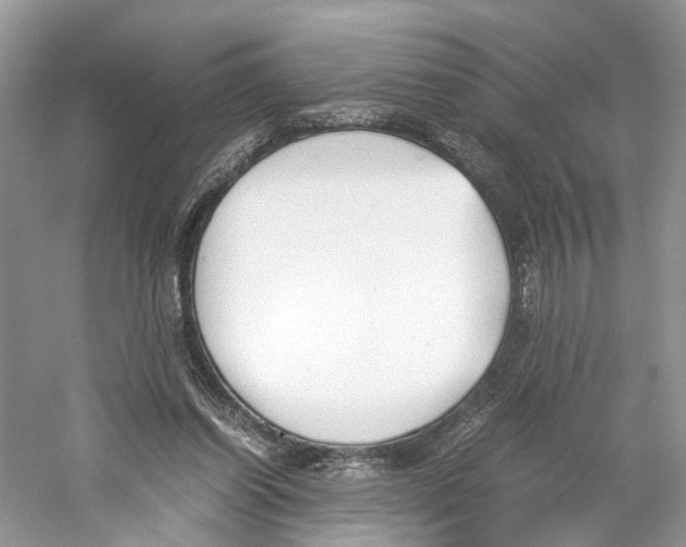 X0000059810254200511181548