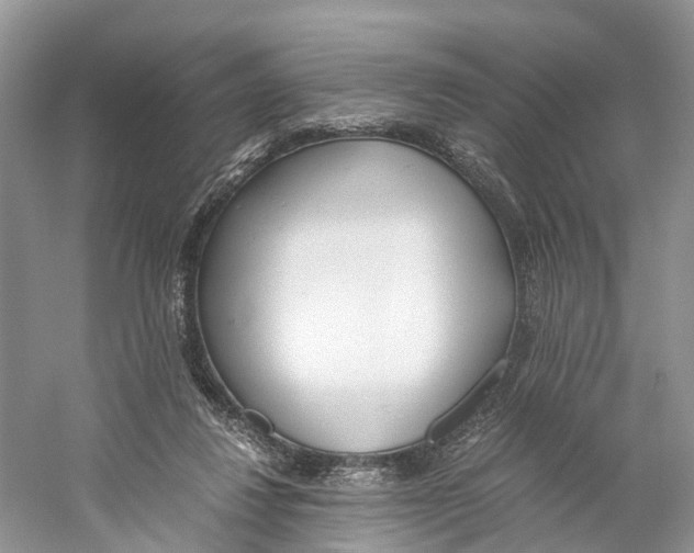 X0000059810260200511181548