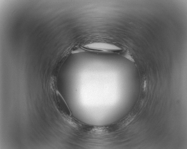 X0000059810280200511181549