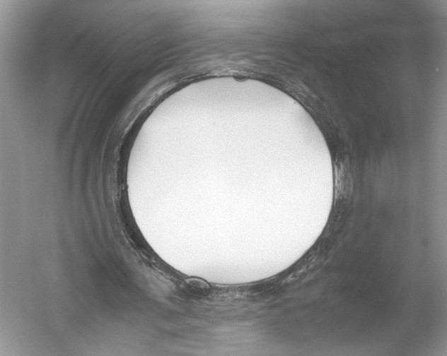 X0000059810291200511181548