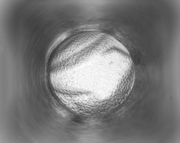 X0000059810293200511181548