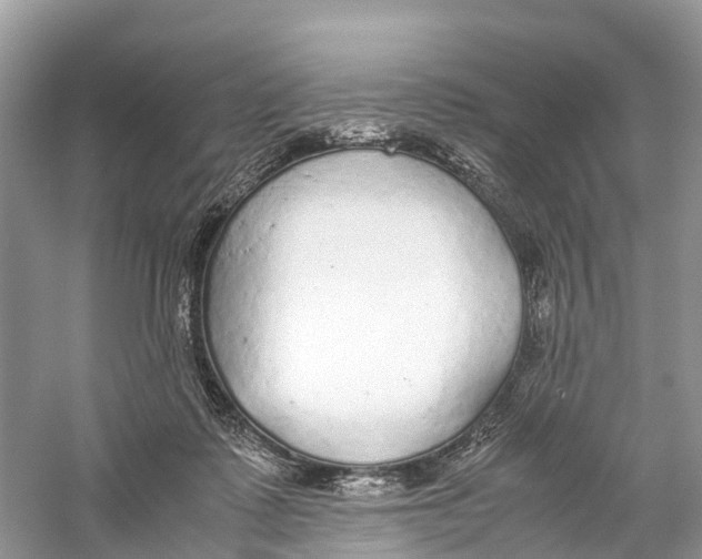 X0000059810315200511181547