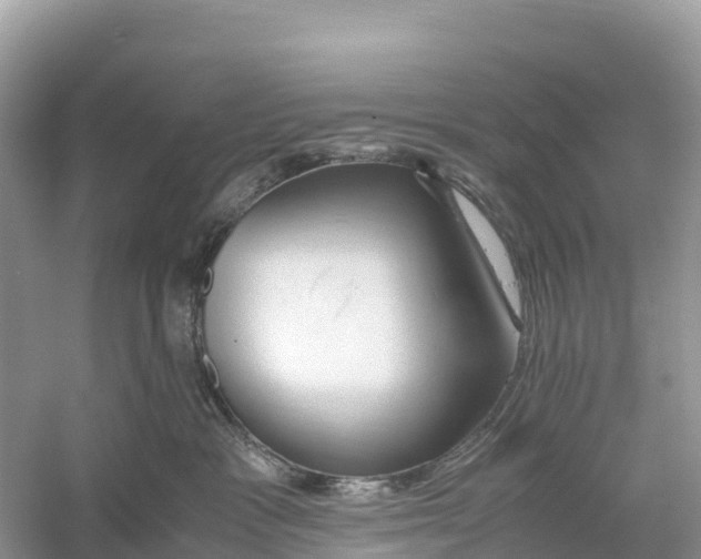X0000059810333200511181547