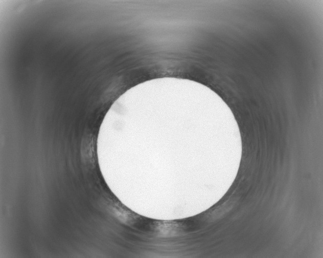 X0000059810336200511181547