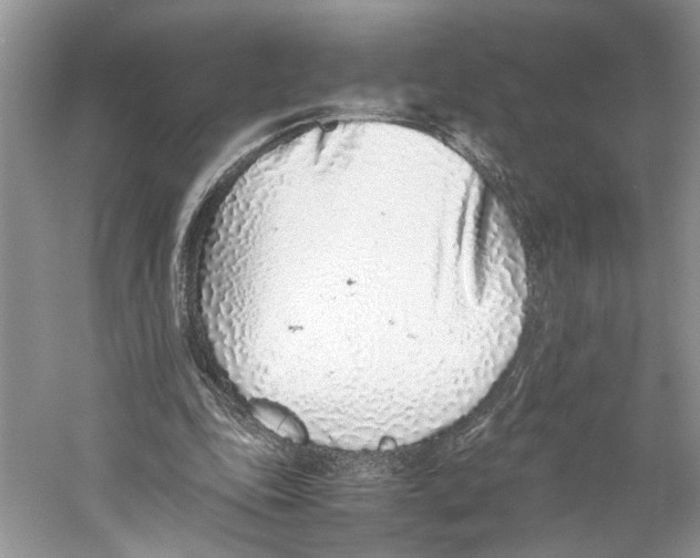 X0000059810343200511181546