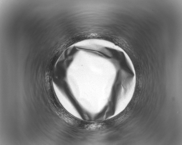X0000059810366200511181547