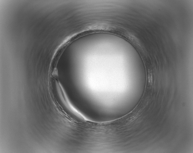 X0000059810388200511181546