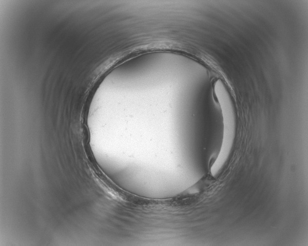 X0000059810389200511181546