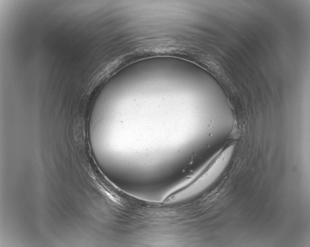 X0000059810397200511181546