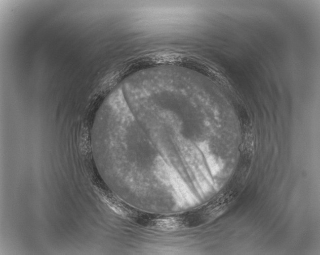 X0000059810411200511181546