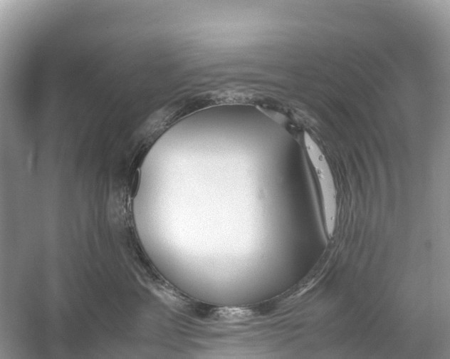 X0000059810429200511181545