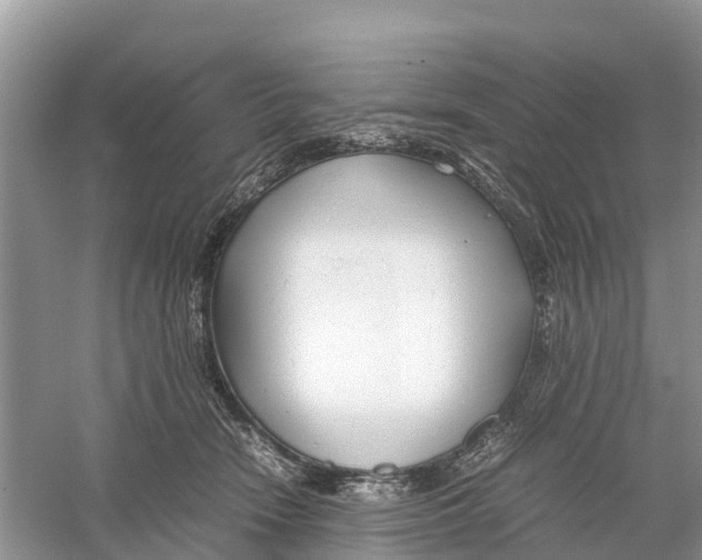 X0000059810466200511181545