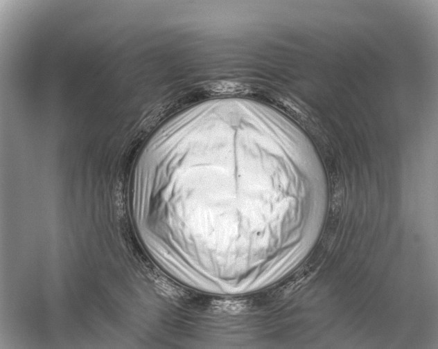X0000059810469200511181545