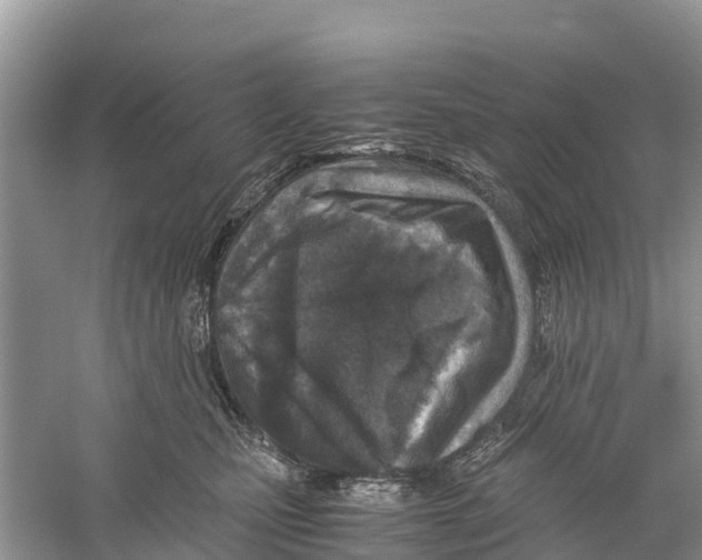 X0000059810471200511181545