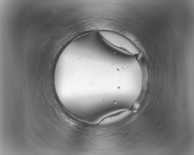 X0000059810481200511181545