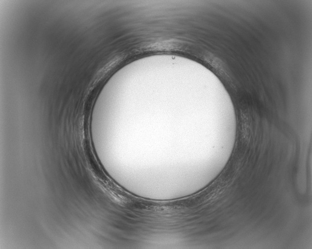 X0000059810486200511181545