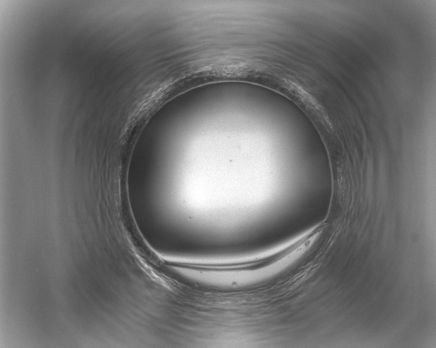 X0000059810493200511181544