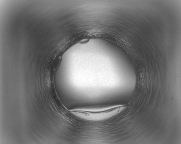 X0000059810508200511181544