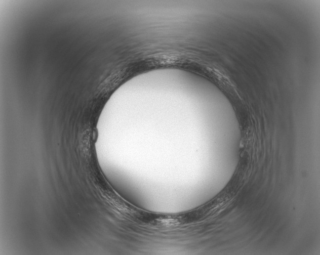 X0000059810509200511181544