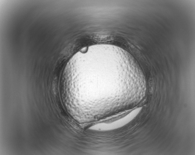 X0000059810515200511181544