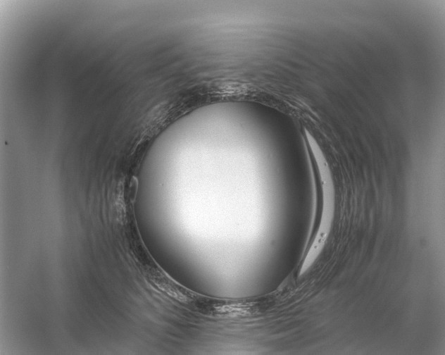 X0000059810516200511181544