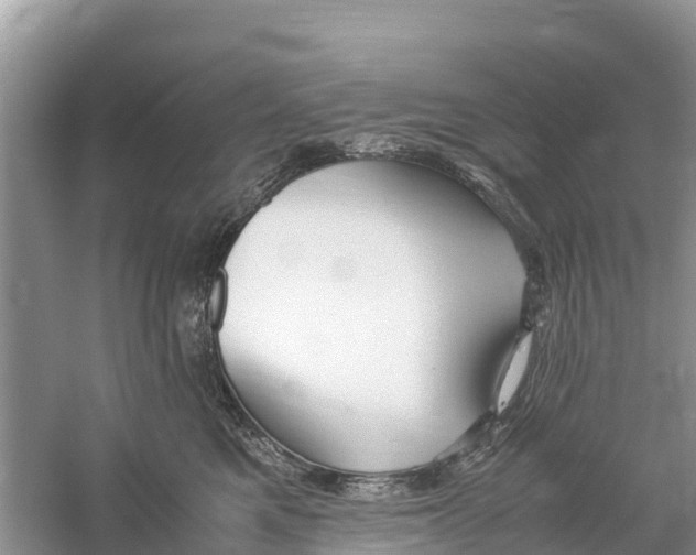 X0000059810521200511181544