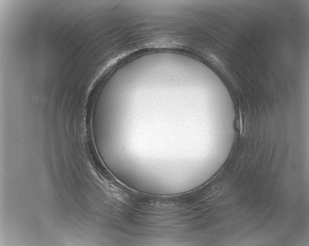 X0000059810531200511181543