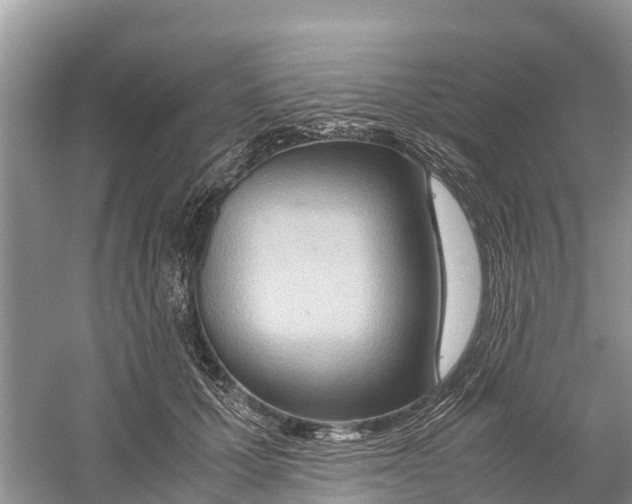 X0000059810607200511181542