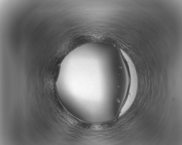X0000059810613200511181542