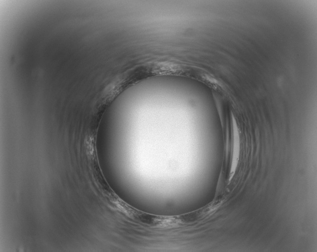 X0000059810621200511181542