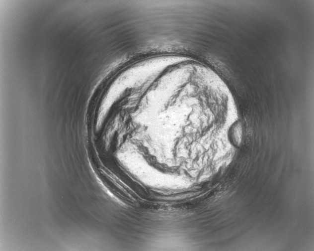 X0000059810630200511181541