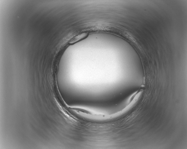 X0000059810677200511181541