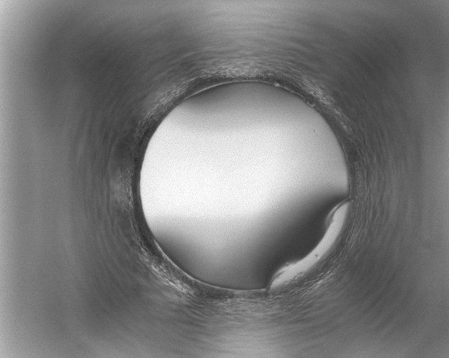 X0000059810681200511181541
