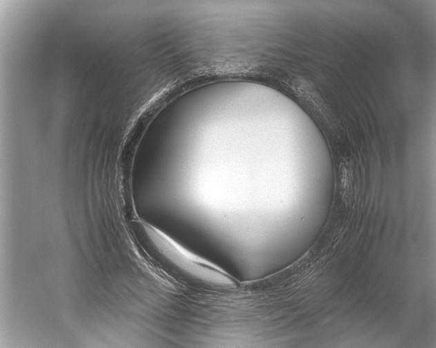 X0000059810684200511181541