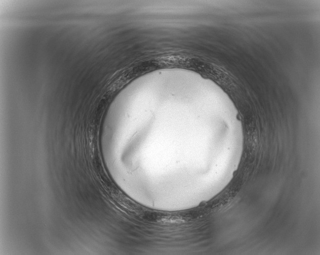 X0000059810749200511181540
