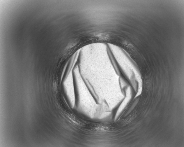 X0000059810760200511181540