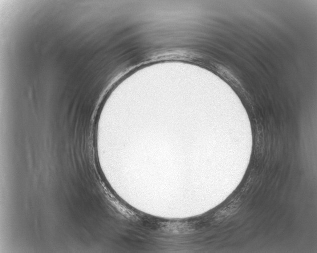 X0000059810800200511181539