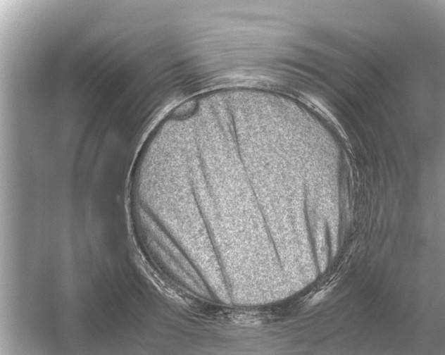 X0000059810899200511181537