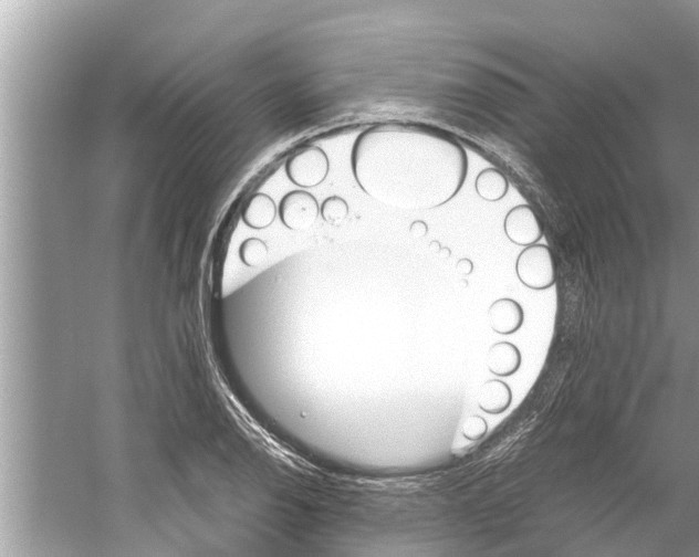 X0000059811126200511181534