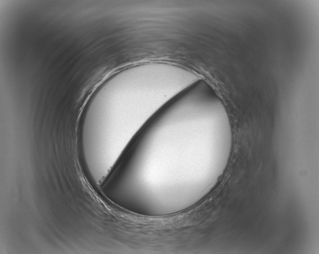 X0000059820002200510211007