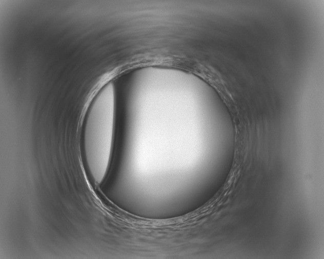 X0000059820003200510211007