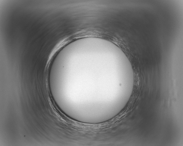 X0000059820004200510211007