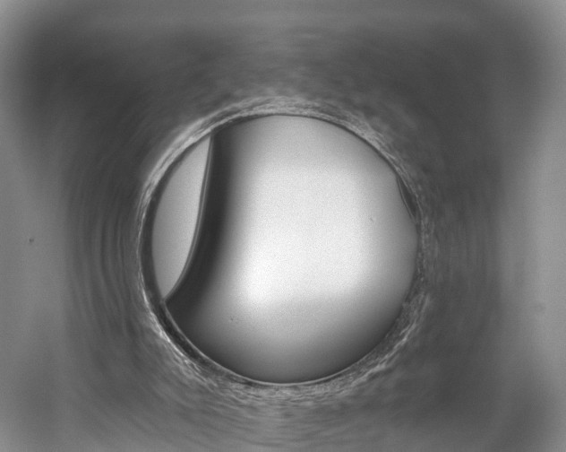 X0000059820007200510211007